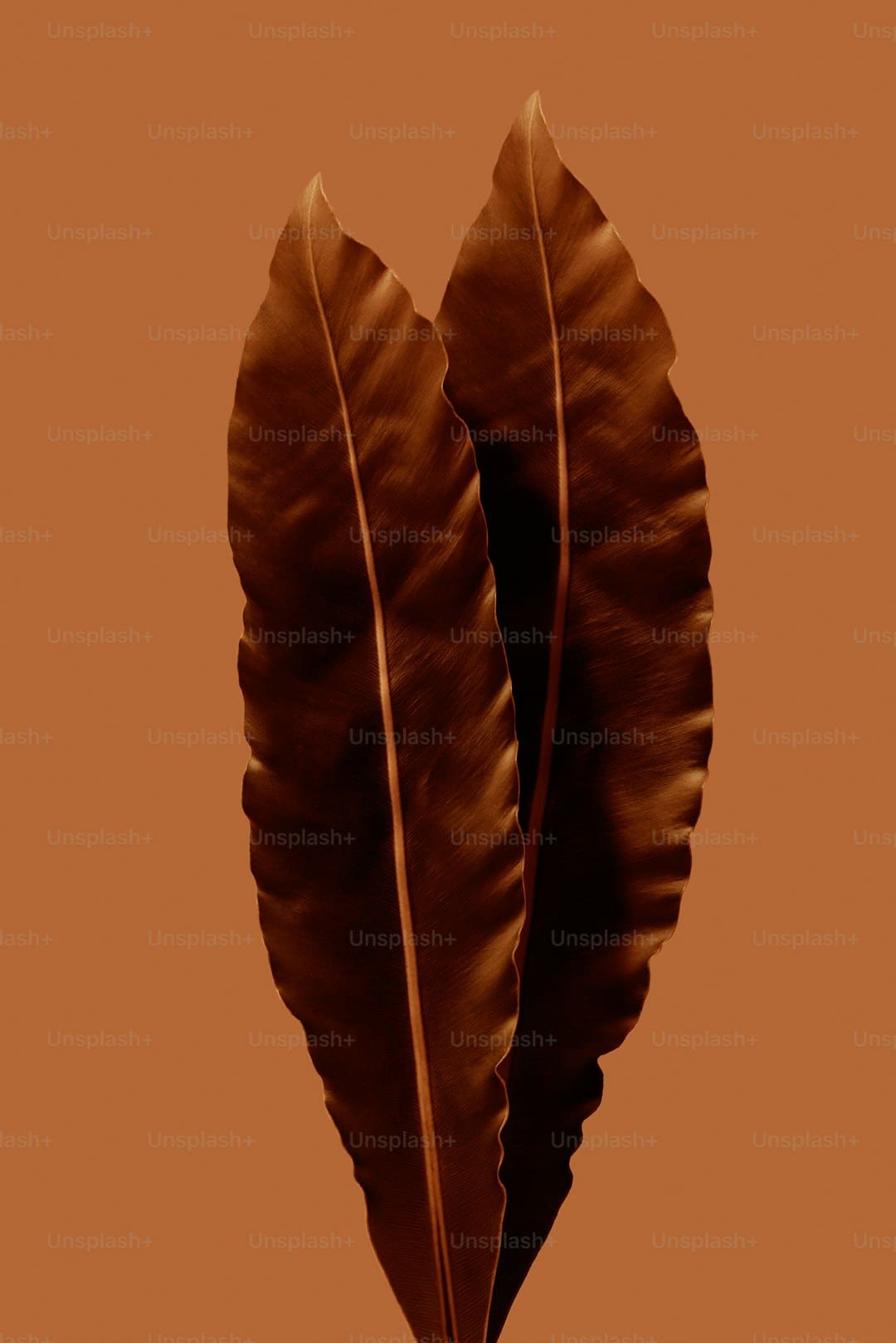 http://n.sinaimg.cn/news/transform/w600h400/20180315/v0sK-fyshstk6766615.jpg?zdy